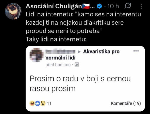 Cerna rasa